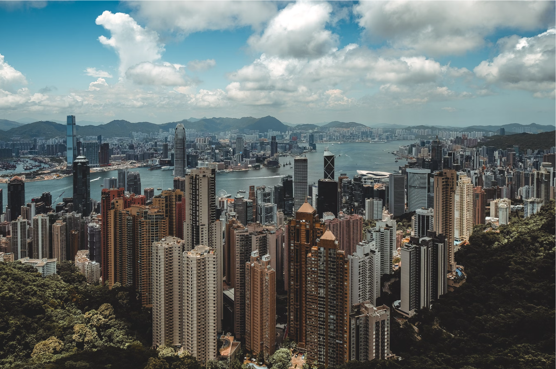 This photograph has an aerial view of the daytime Hong Kong cityscape of modern buildings with a bay crossing between. Trees and greeny natural environment surround the cityscape.