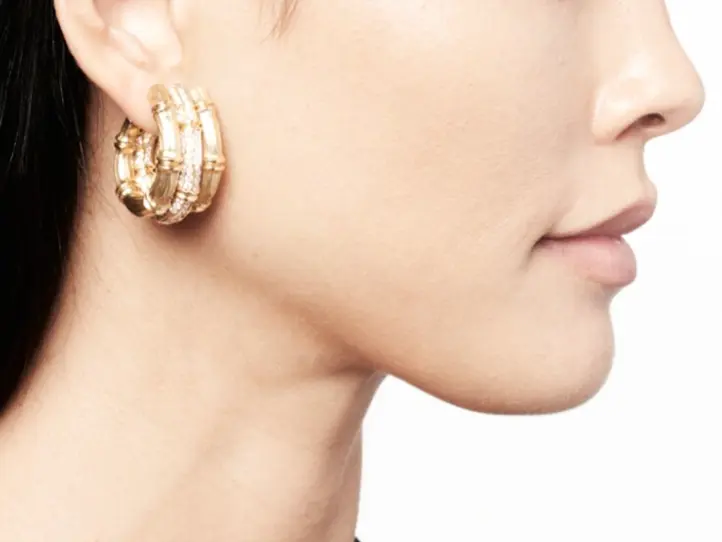 Caucasian woman with dark long hair and wearing luxury gold hoop earrings in profile, obscuring the top part of her face.