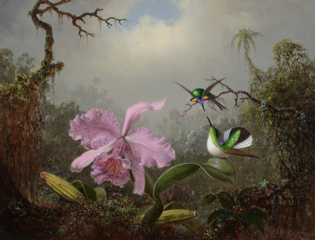 MARTIN JOHNSON HEADE
Cattleya Orchid with Two Brazilian Hummingbirds, 1871
Oil on panel
13 3/4 x 18 in. 

ESTIMATE:
USD 1,200,000 – 1,800,000
ACHIEVED:
USD 3,438,000 (Premium)

A pink Catteya Orchird among green trees and brown branches, surrounded by two brazilian hummingbirds, in front of a cloudy, blue sky.